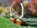 ElephantTusks1